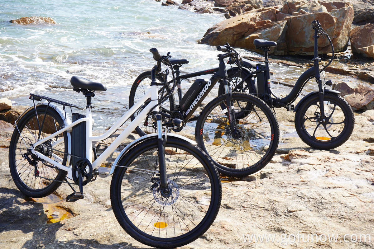 2022 Long range central motor 36V 350W electric mountain bike trek wholesale full suspension Electric Bike